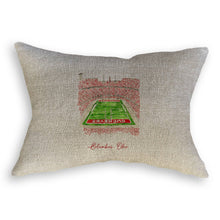 Load image into Gallery viewer, French Graffiti - Ohio State University Football Stadium: Dishtowel / Remove Words / -
