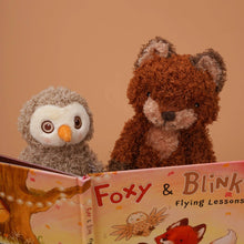 Load image into Gallery viewer, Bunnies By the Bay - Foxy &amp; Blink Flying Lesson Story Book

