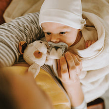 Load image into Gallery viewer, Bunnies By the Bay - Skipit Puppy Silly Buddy
