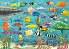 Load image into Gallery viewer, All The Fish 1000 Piece Jigsaw Puzzle
