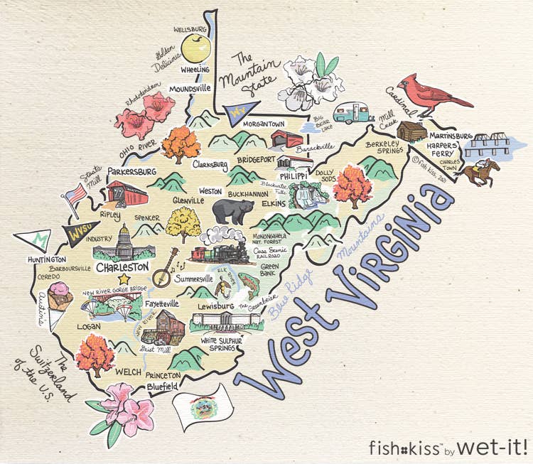 Wet-it! - Fishkiss West Virginia Swedish Cloth