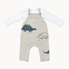 Load image into Gallery viewer, Dino Jacquard Knit Baby Overall Set (Organic): 0-3M / Stone
